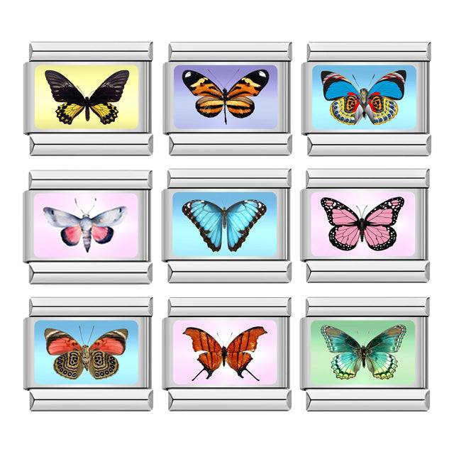 Butterfly Bundle (9 Pack)